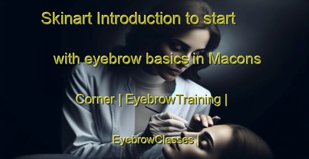 Skinart Introduction to start with eyebrow basics in Macons Corner | EyebrowTraining | EyebrowClasses | SkinartTraining-United States